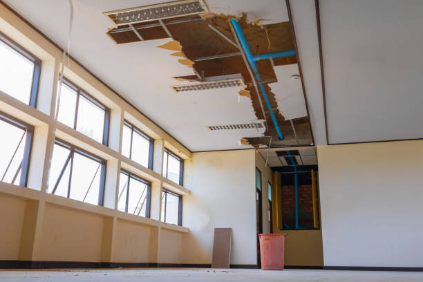 Best Fire Damage Restoration  in Mountain Home, ID