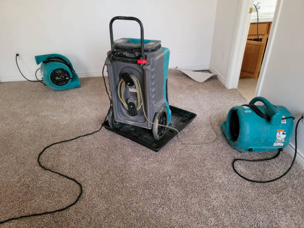 Best Water damage restoration company  in Mountain Home, ID