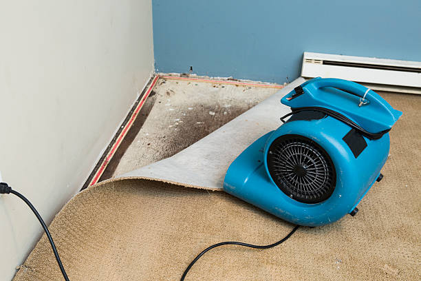 Best Local water damage restoration  in Mountain Home, ID